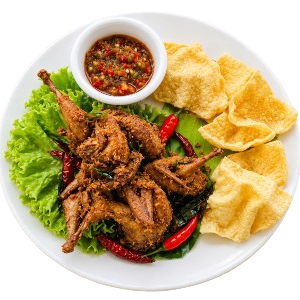 Burung Puyuh